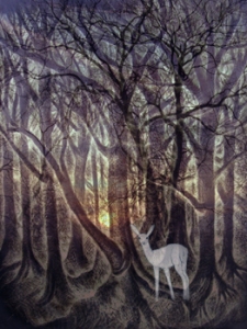 deer-in-forest-Alexi